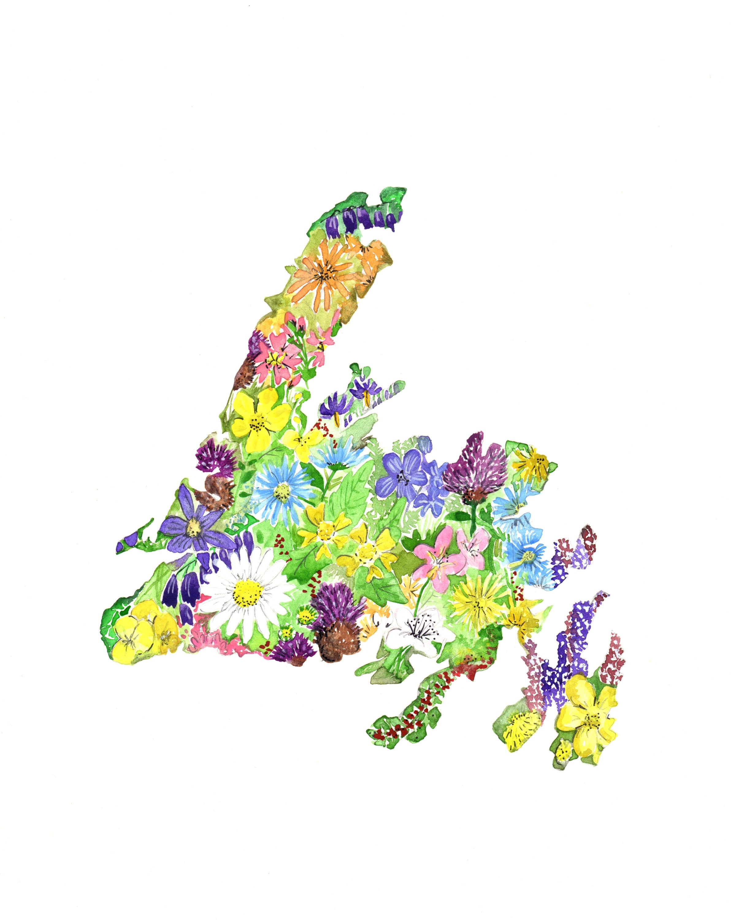 Wildflowers of Newfoundland- Archival Print