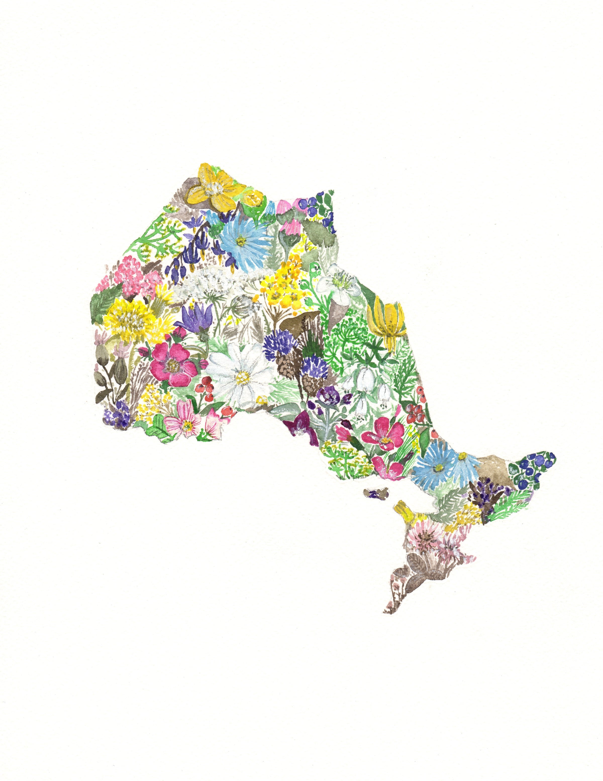 Wildflowers of Ontario- Archival Print | SarahDugganCreativeWorks