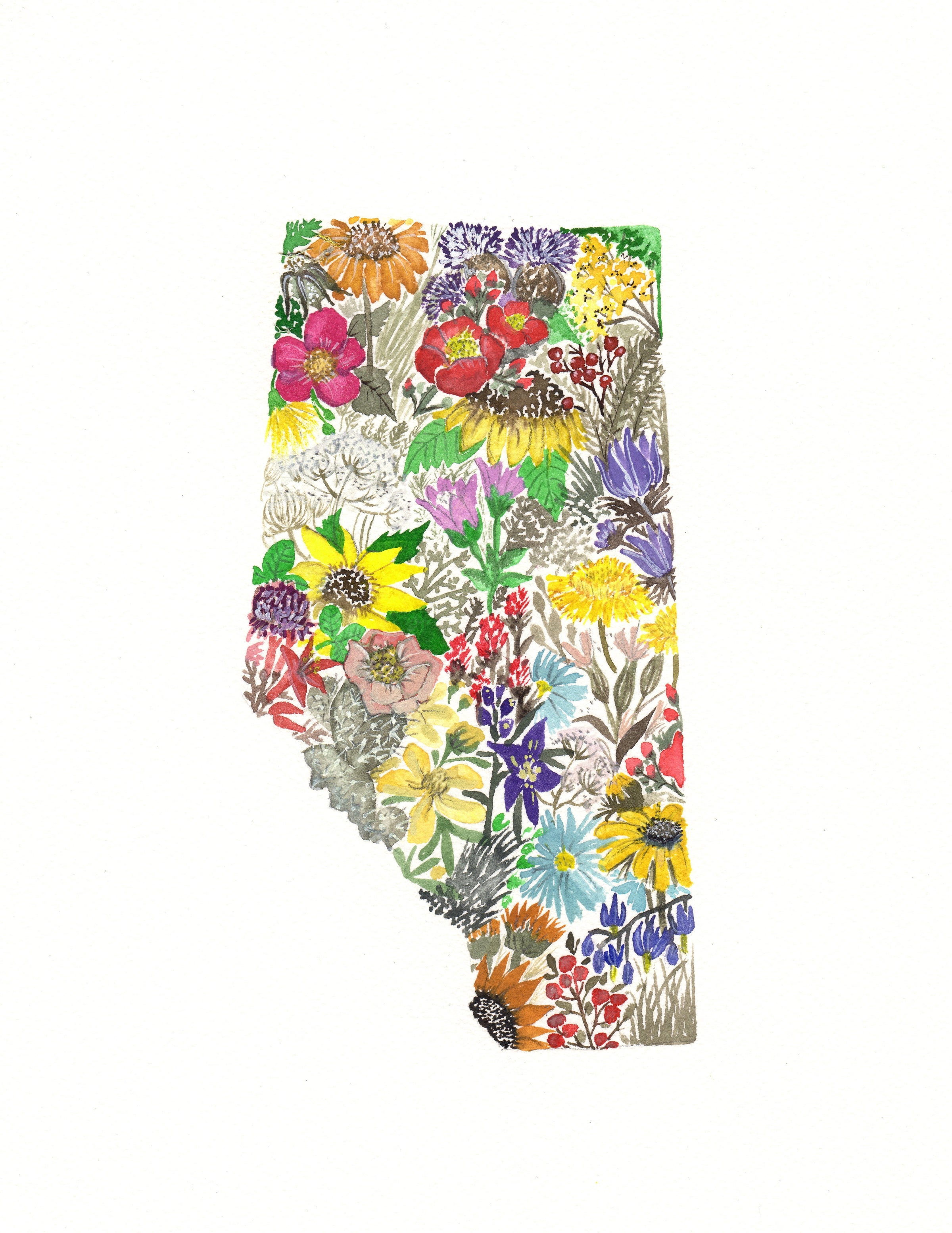 Wildflowers of Alberta- Archival Print